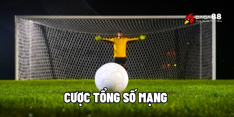 Cược tổng số mạng