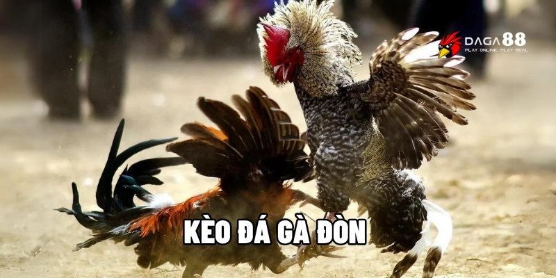 Kèo đá gà đòn