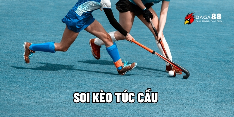 Soi kèo Túc cầu